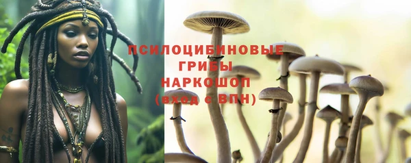 марки nbome Белокуриха