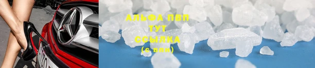 марки nbome Белокуриха