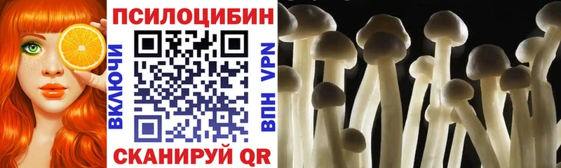 Галлюциногенные грибы мицелий  Макаров 