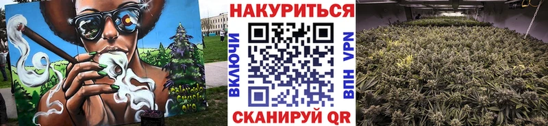 Бошки марихуана марихуана  MEGA зеркало  Макаров 